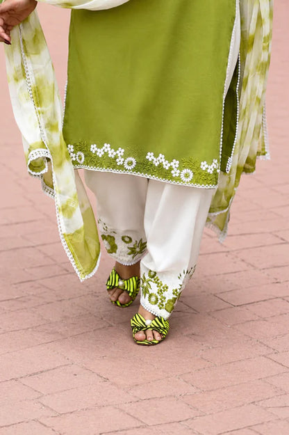 Olive Green Embroidered Salwar Suit Set | Twill Organza